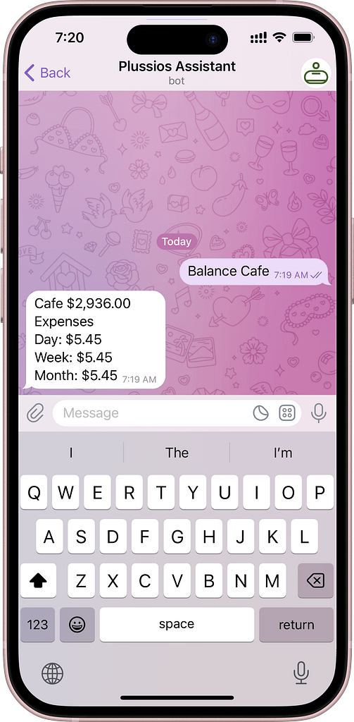 A screenshot of checking a single category budget in Plussios Chat Bot in Telegram messenger