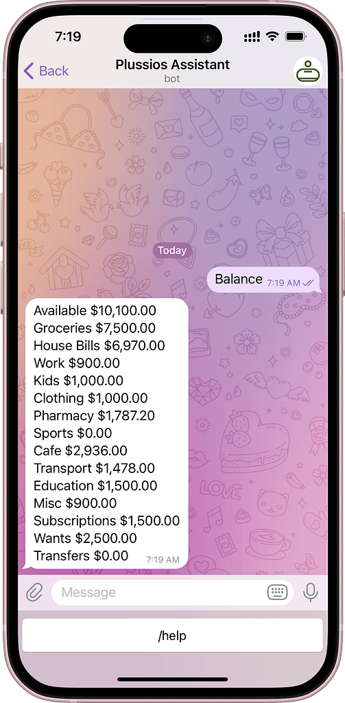 A screenshot of checking budget overview in Plussios Chat Bot in Telegram messenger